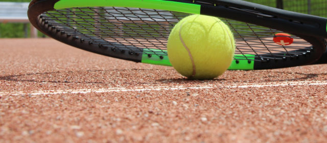 Tenniskurs für Erwachsene Mitglieder